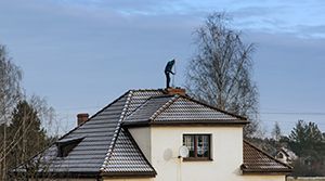 Chimney sweeps