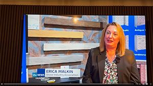 Erica Malkin (SIA) defending the fireplace industry on local news.