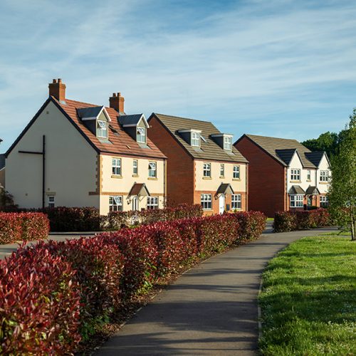 Government confirms Future Homes Standard permits wood burning stoves