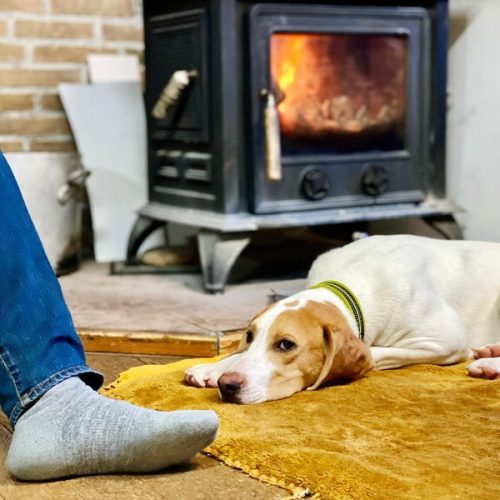 Everything you need to know about new log burner laws in Scotland